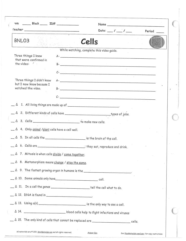 Jacobs Dawn  Science Term 2