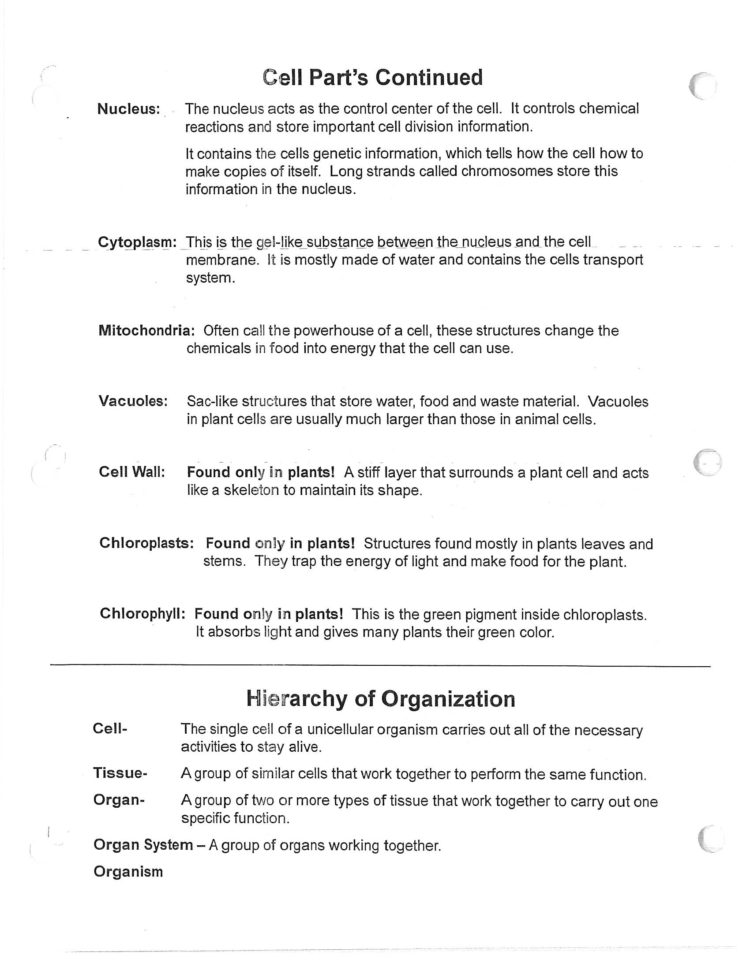 Jacobs Dawn  Science Term 2