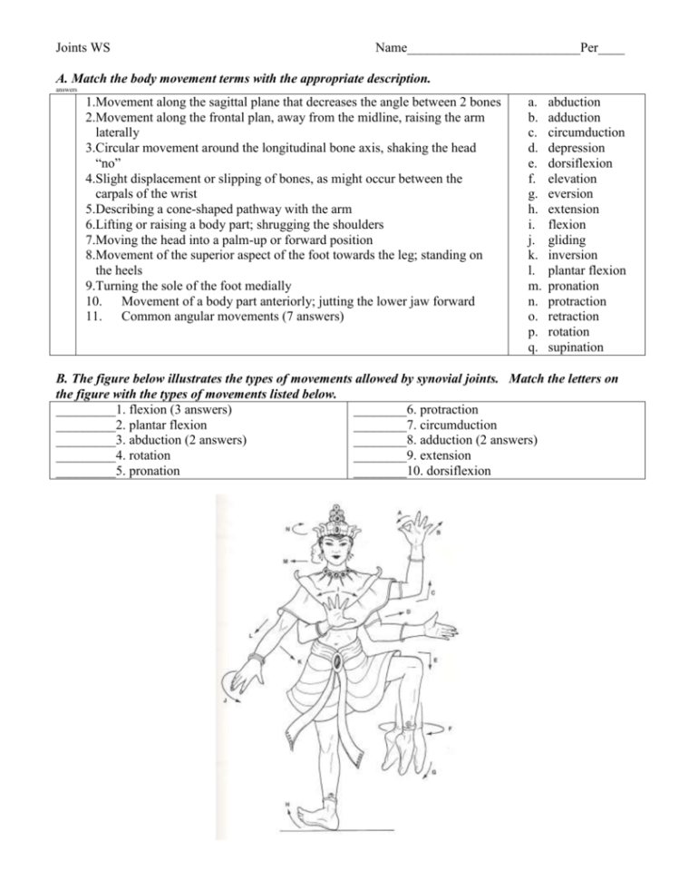 joints-worksheet-answers-db-excel