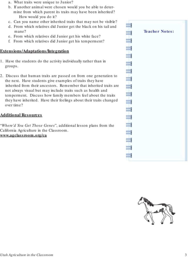 Inherited Traits Worksheet