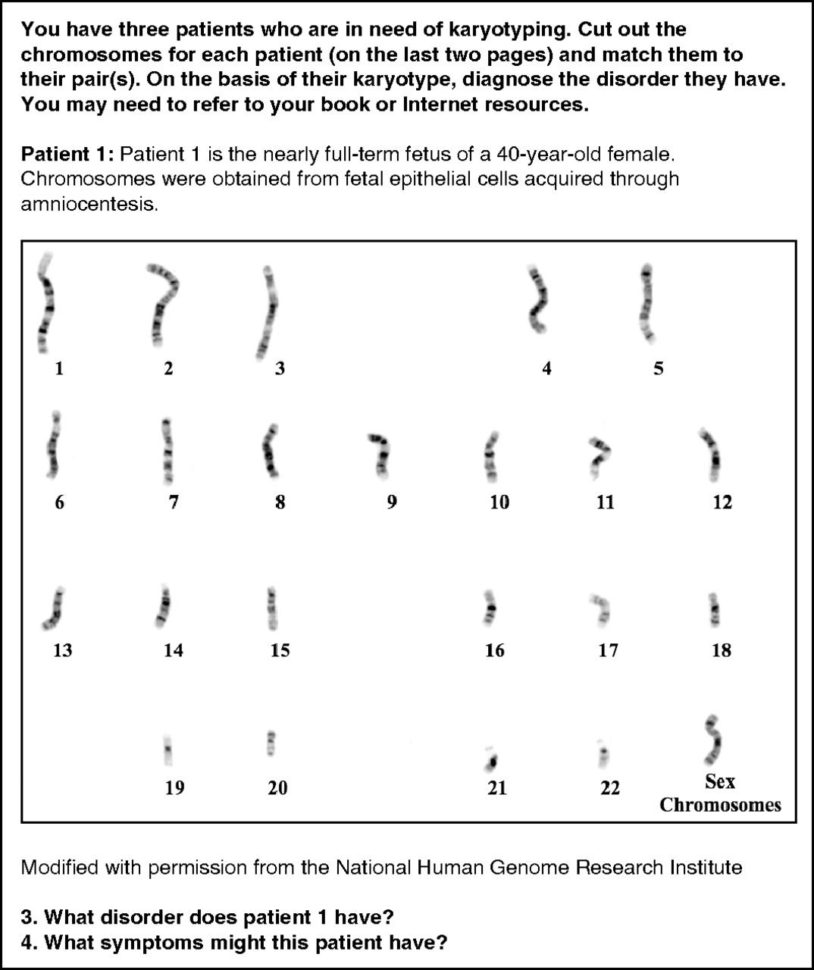 Karyotype Analysis Activity  The American Biology Teacher