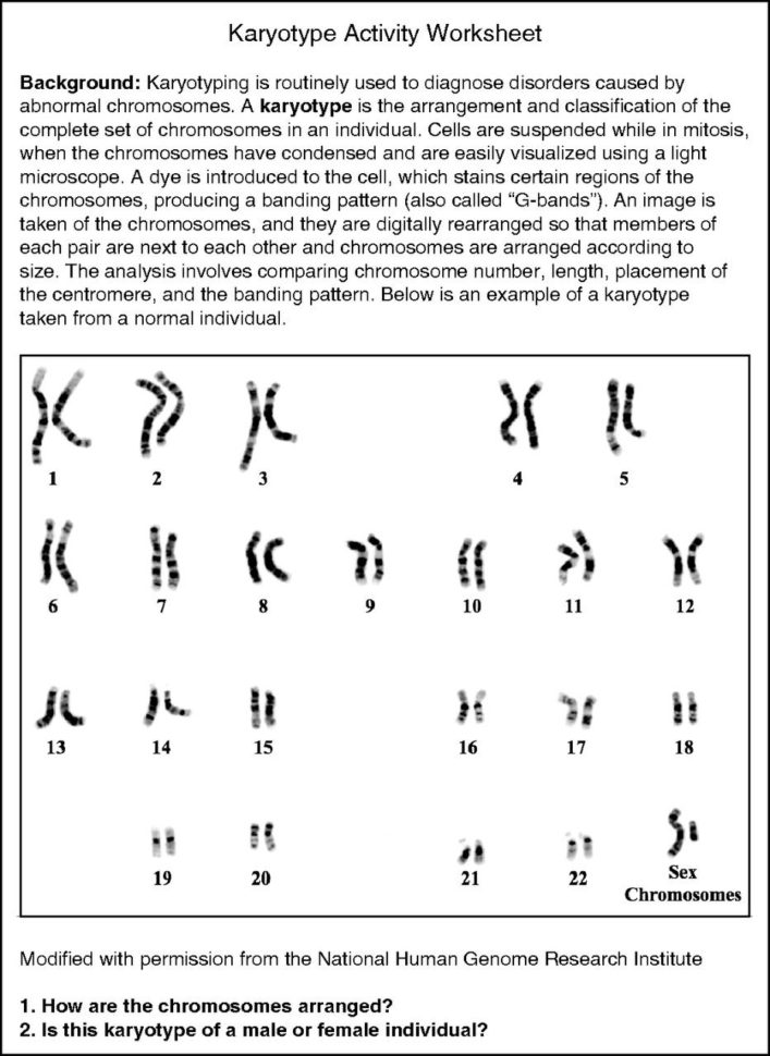 Karyotype Analysis Activity  The American Biology Teacher