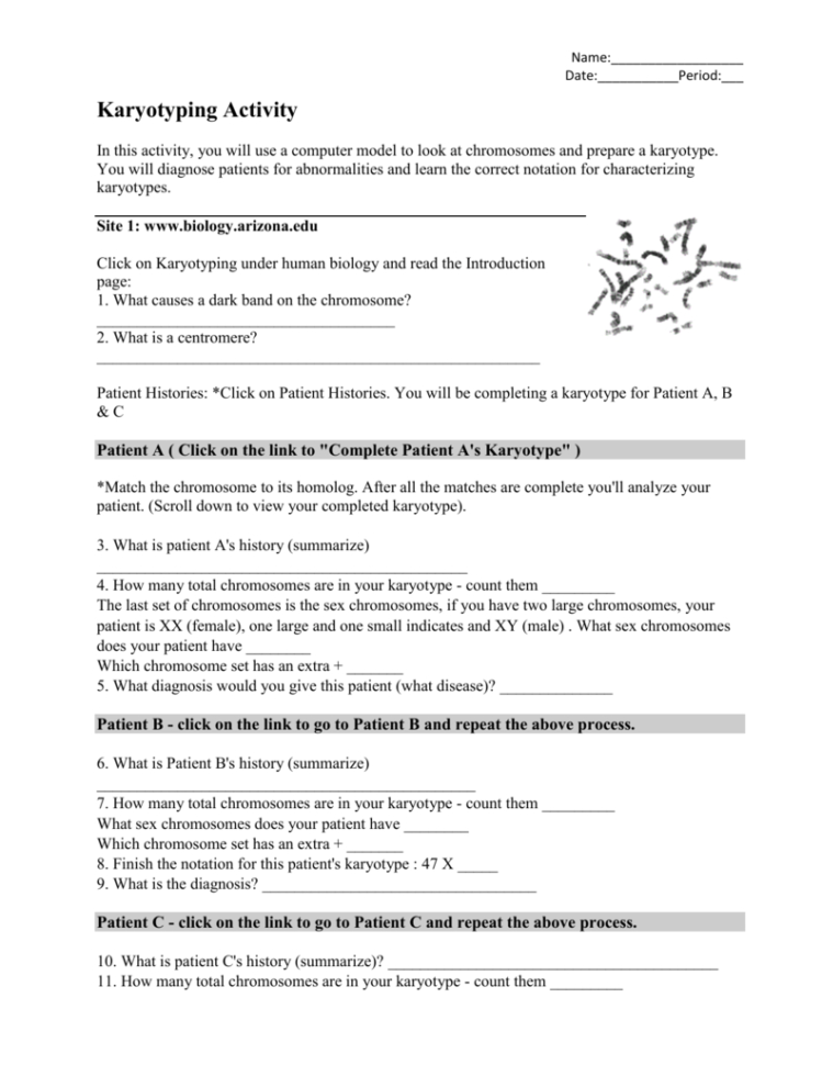 Karyotyping Activity