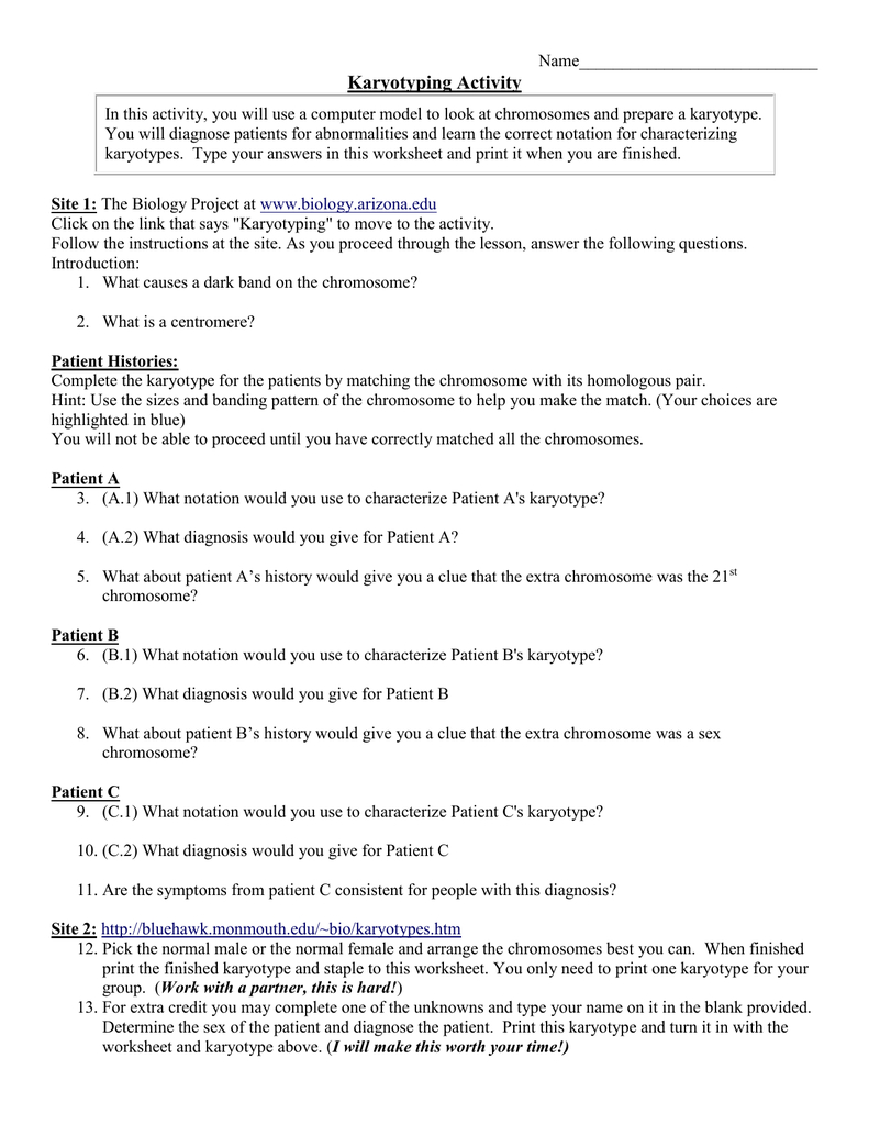 Biology Karyotype Worksheet Answers Db excel