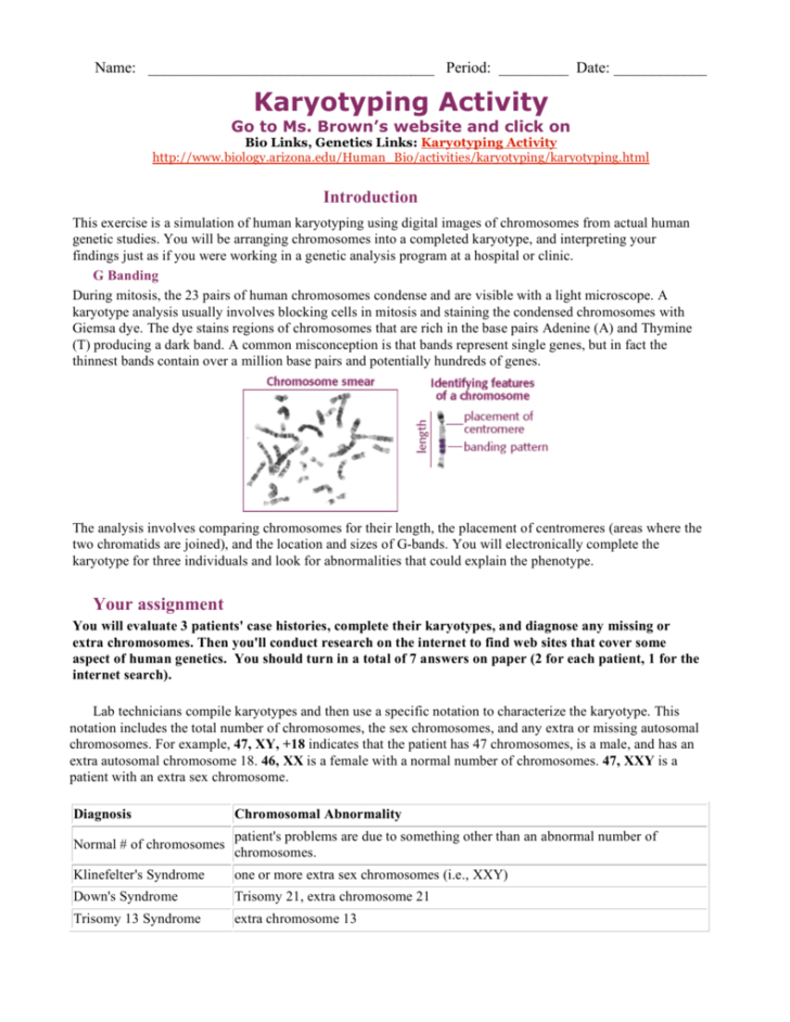 Biology Karyotype Worksheet Answers