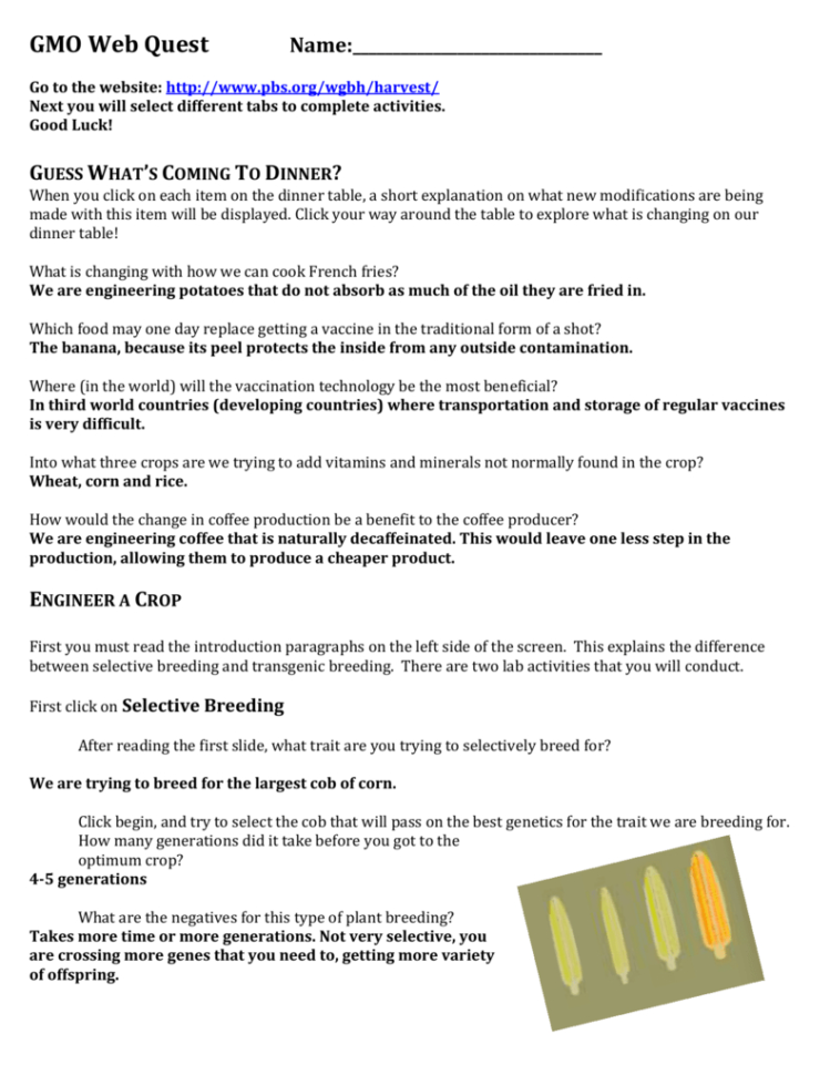 Key Gmo Web Quest  Naae Communities Of Practice