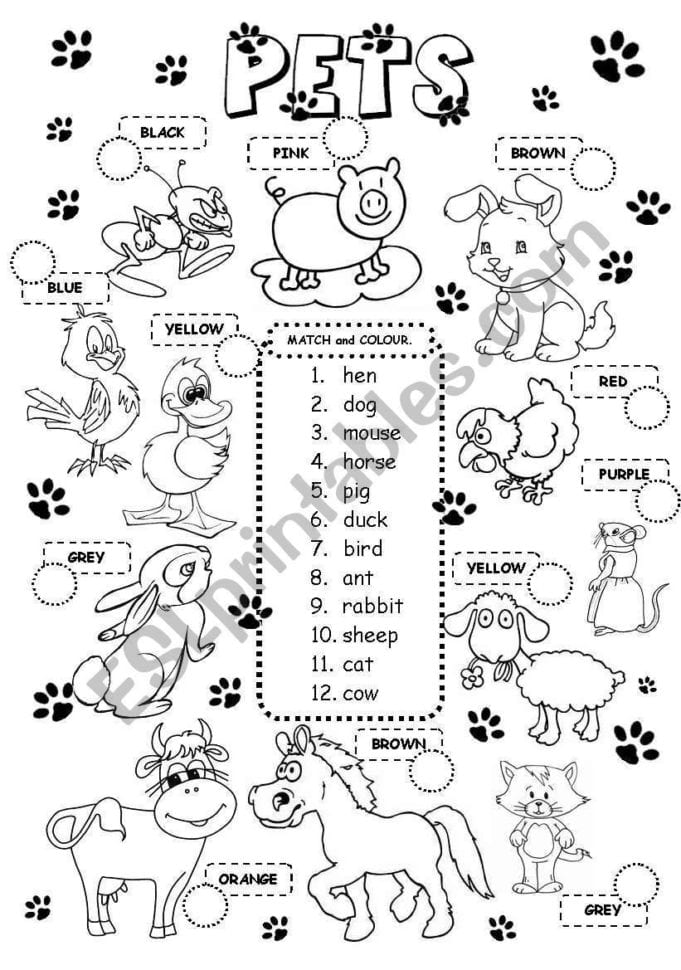 Kids Worksheet  Factoring Quiz Kids Worksheet Intro To
