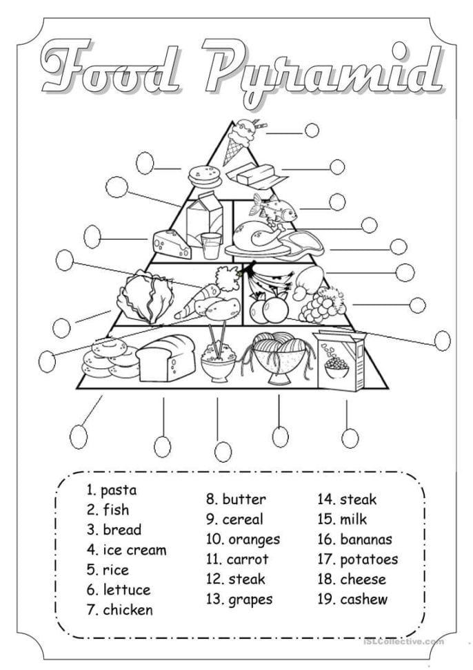 Kids Worksheet  Kids Worksheet Model Compass Test Sample
