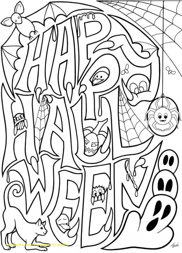 Kids Worksheet  Kids Worksheet Overview Basic Elementary