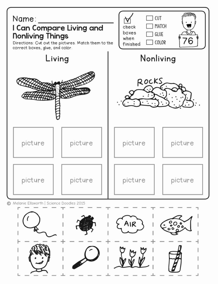 Kids Worksheet  Kindergarten English Worksheets New Free