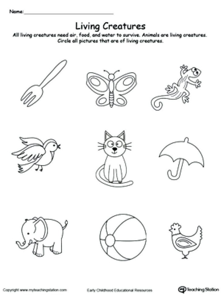 kindergarten 2nd grade language arts worksheets pre phonics db excelcom