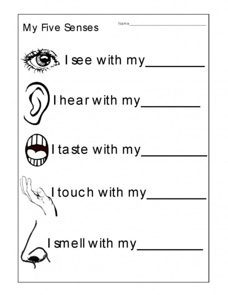 Kindergarten At Family Worksheets Printable Free Good