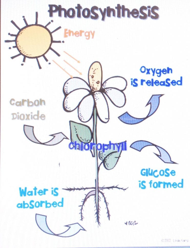 Kindergarten Ixl Unlimited Practice Weather Projects For