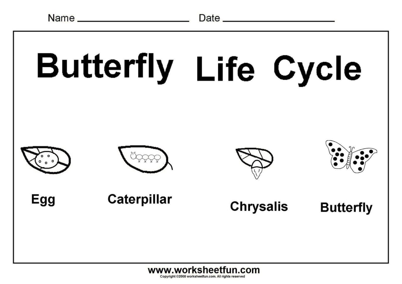 Kindergarten Kindergarten Science Worksheets Spelling