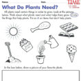 Kindergarten Plant Worksheet Printable Worksheets On Plants