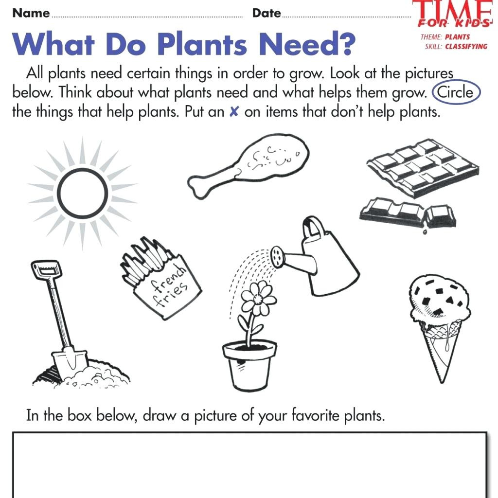 Kindergarten Plant Worksheet Printable Worksheets On Plants