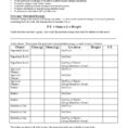 Kinetic And Potential Energy Problems Worksheet Answers Math
