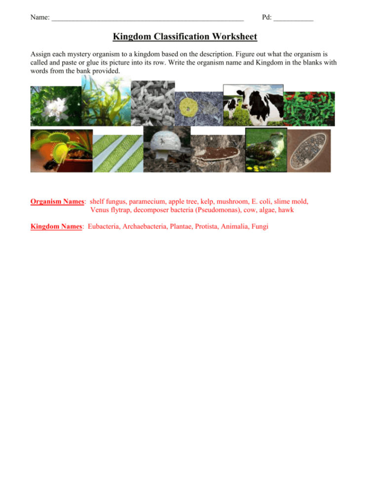 Kingdom Classification Worksheet Kingdom Classification Worksheet
