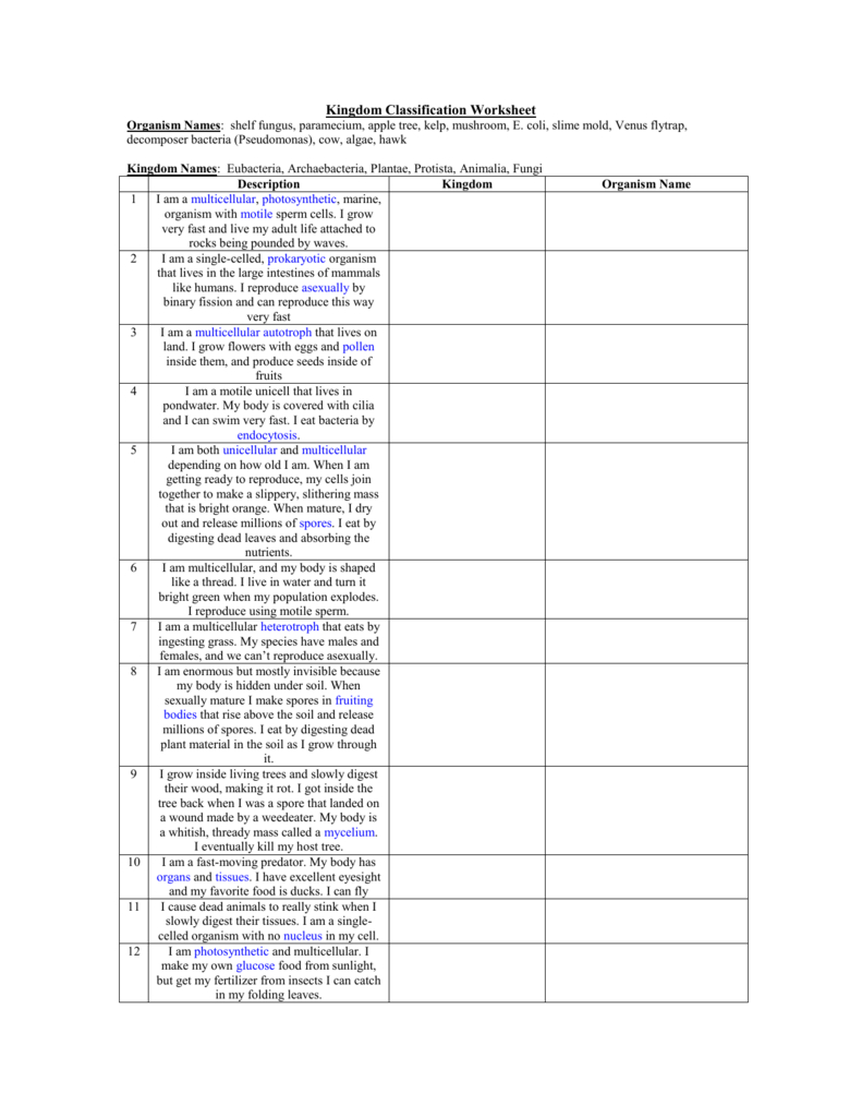 Kingdom Classification Worksheet Answers Db excel