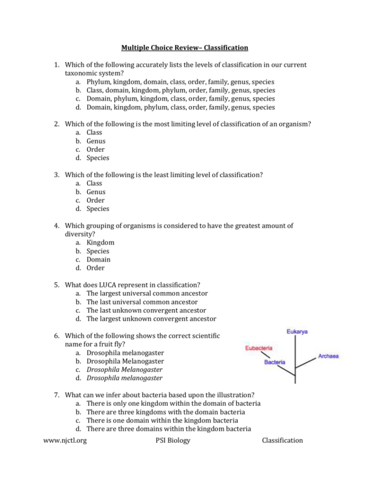 Kingdom Domain Biology