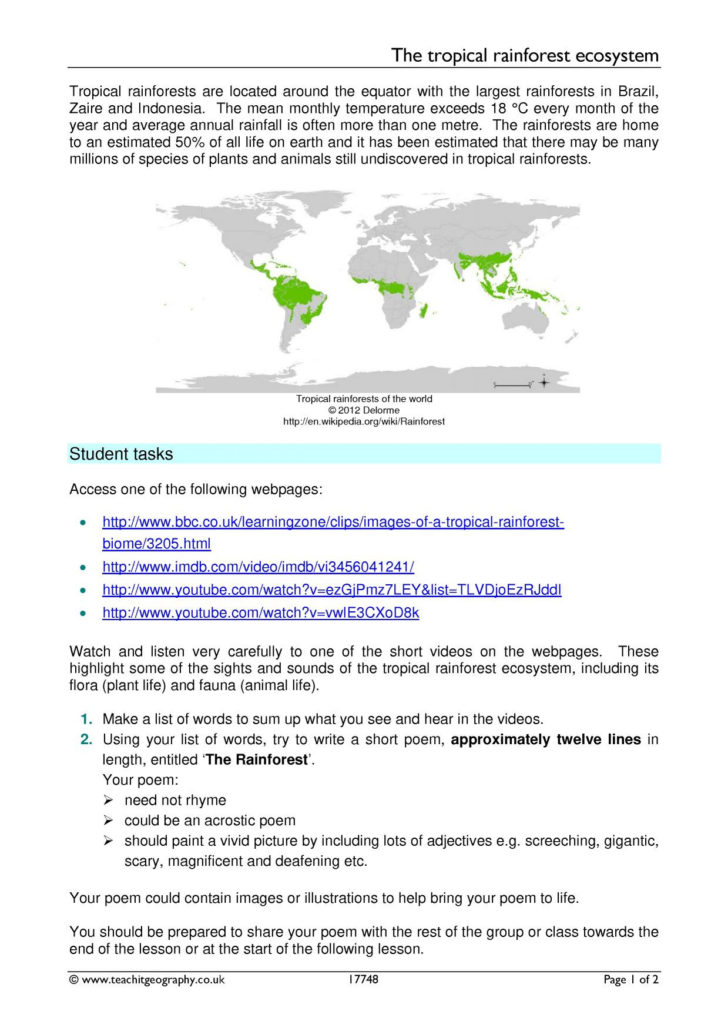 Tropical Rainforest Worksheet