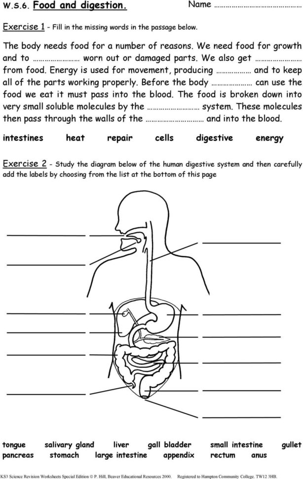 100 Printable Class 3 Science Worksheets Pdf Download Olympiadtester 