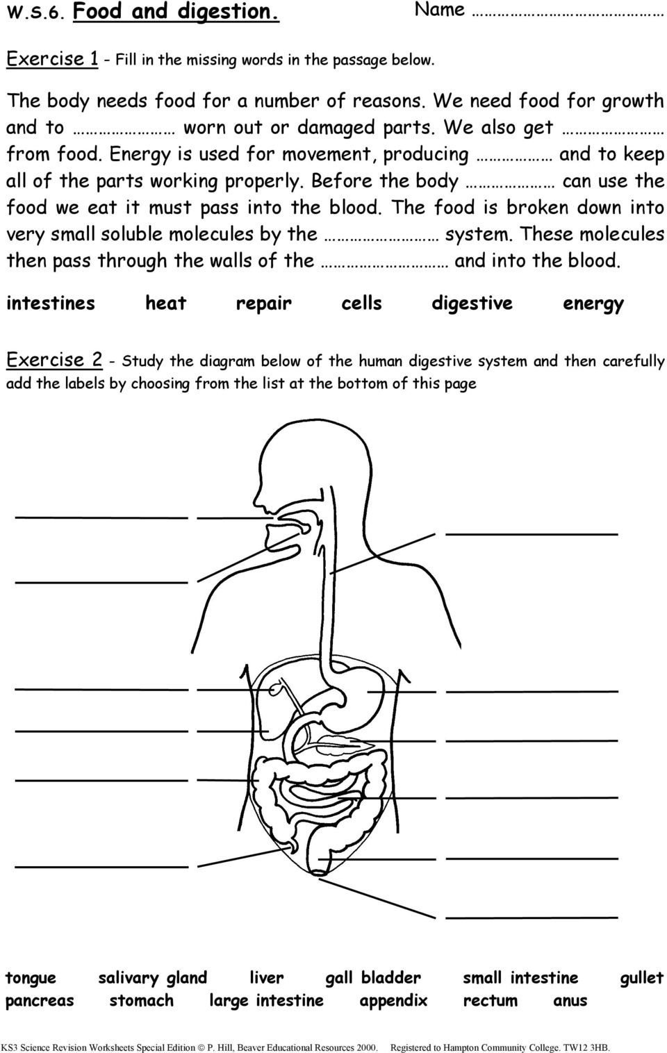 6th-grade-science-worksheet-pdf
