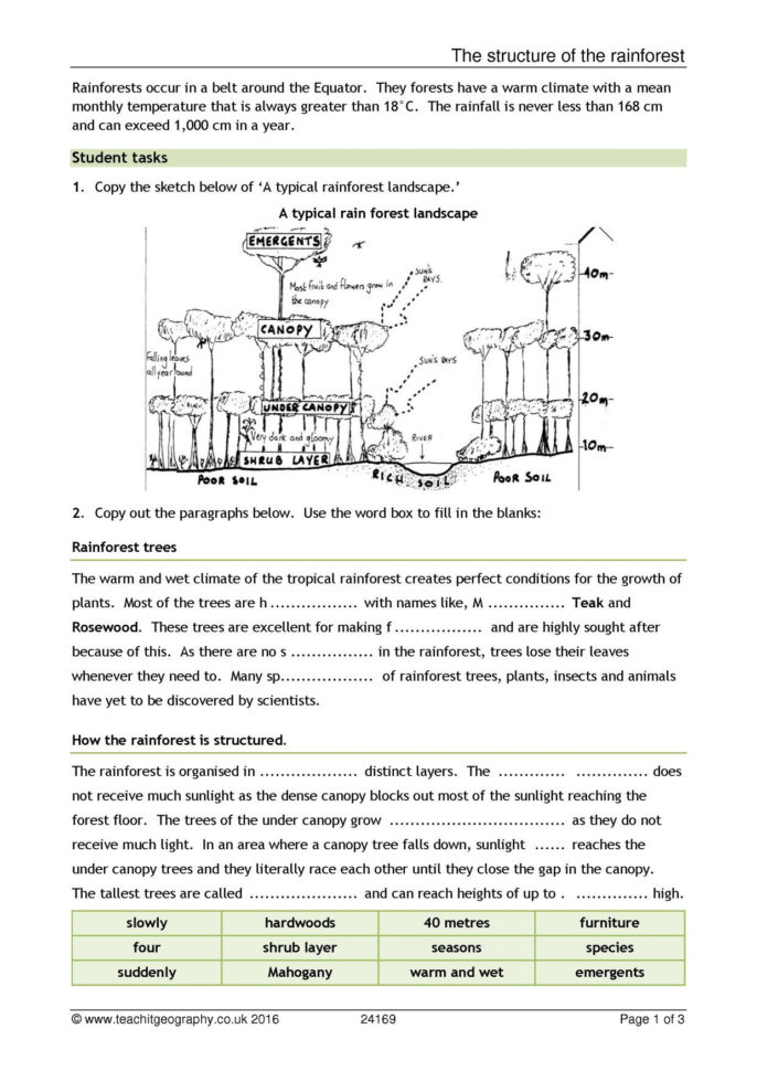 Ks4  Rainforests  Teachit Geography