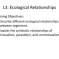 L3 Ecological Relationships  Ppt Download