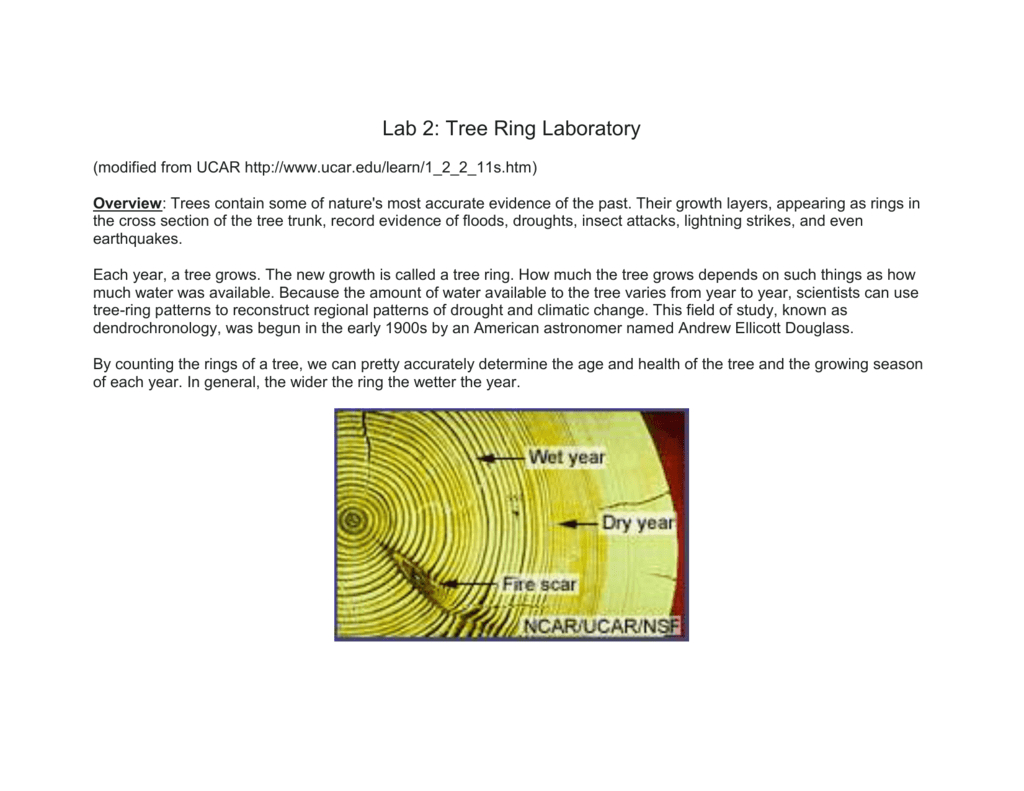 Lab 2 Time Cycles  Tree Rings