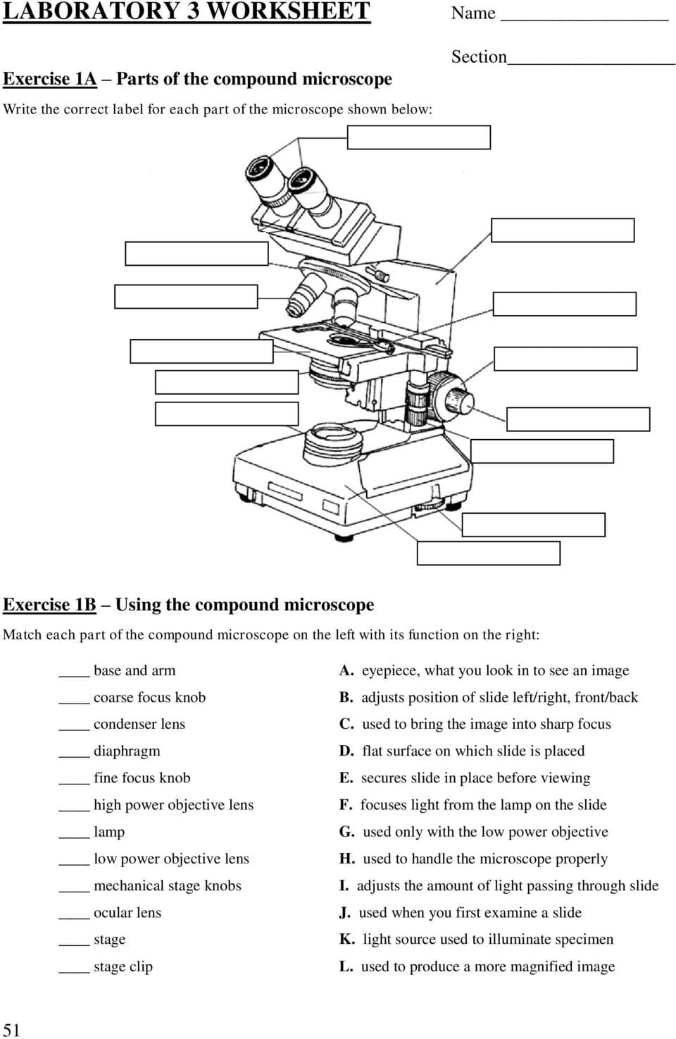 microscope-parts-and-use-worksheet-answers