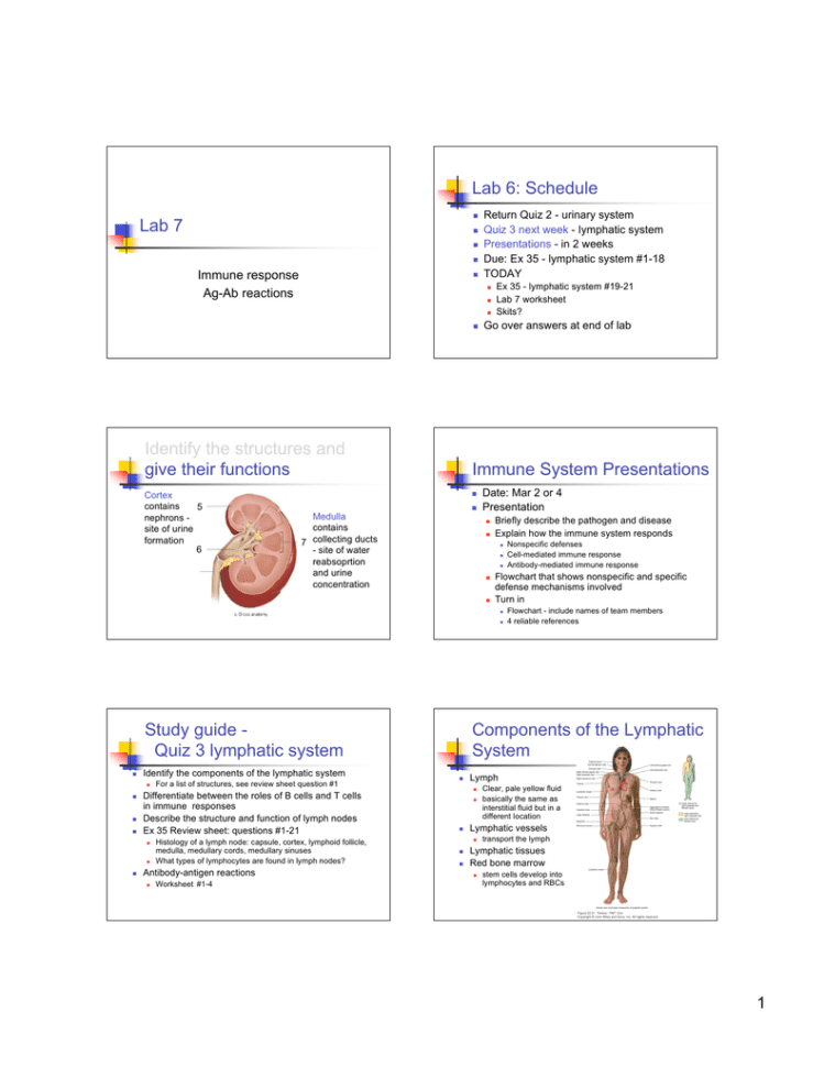 Lab 6 Schedule Lab 7 Immune Response Agab Reactions