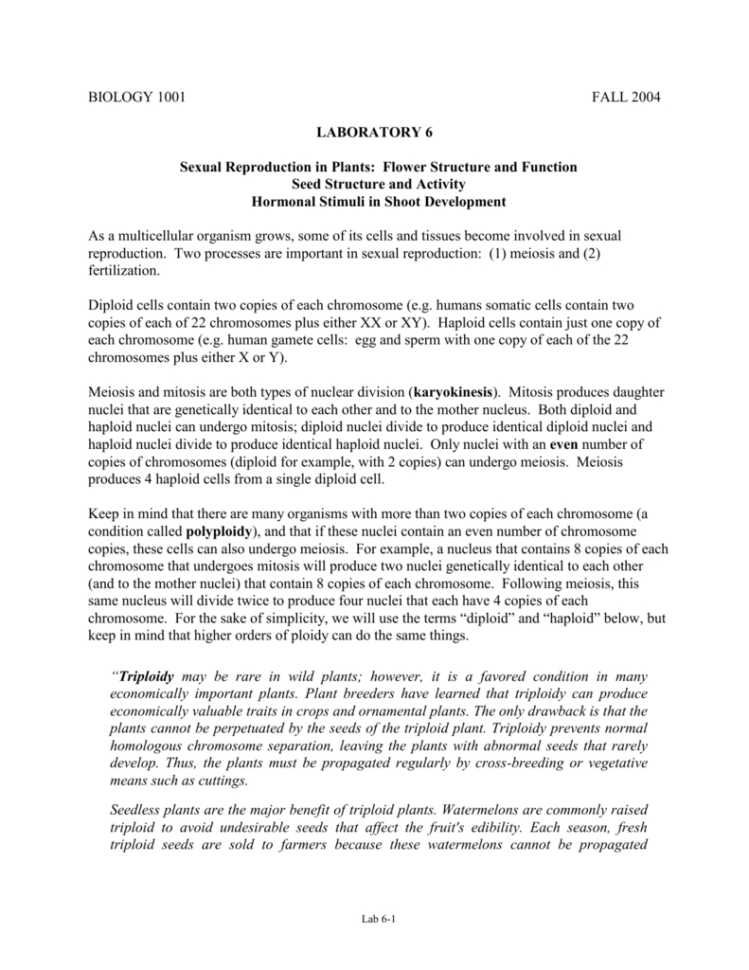 Lab 6 Sexual Reproduction In Plants Flower Structure And