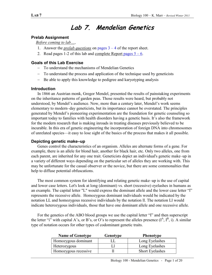 Mendelian Genetics Worksheet