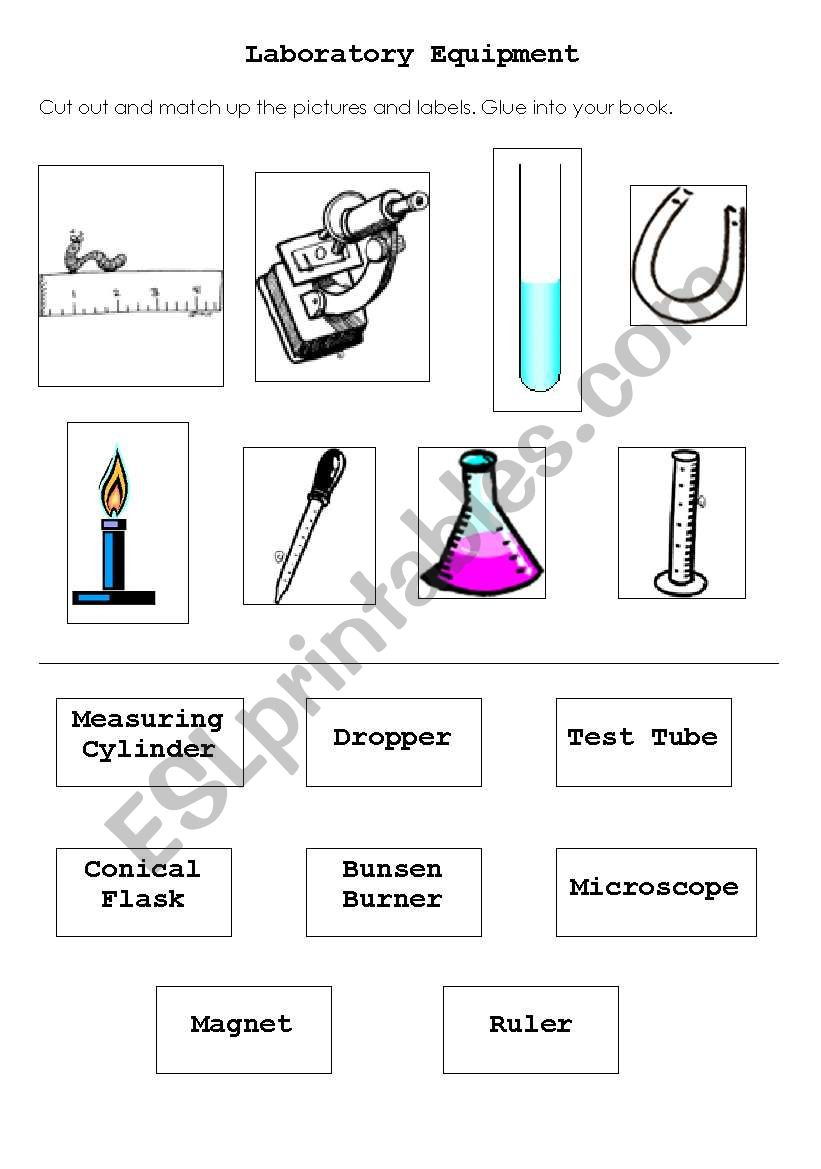 Label Lab Equipment Worksheet —