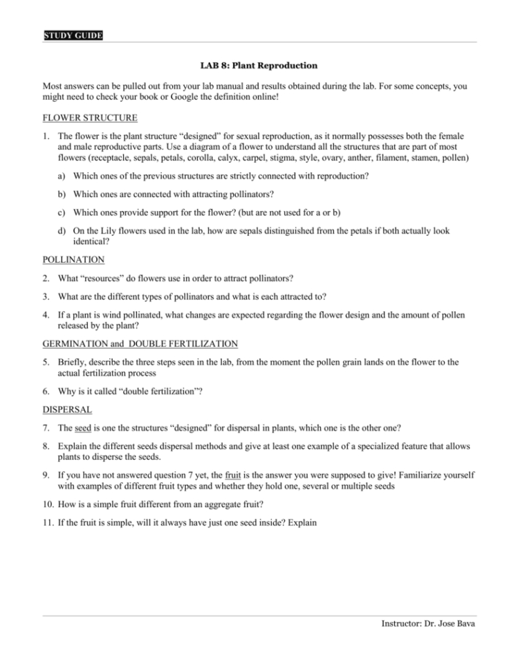 Lab Plant Reproduction  Jocha