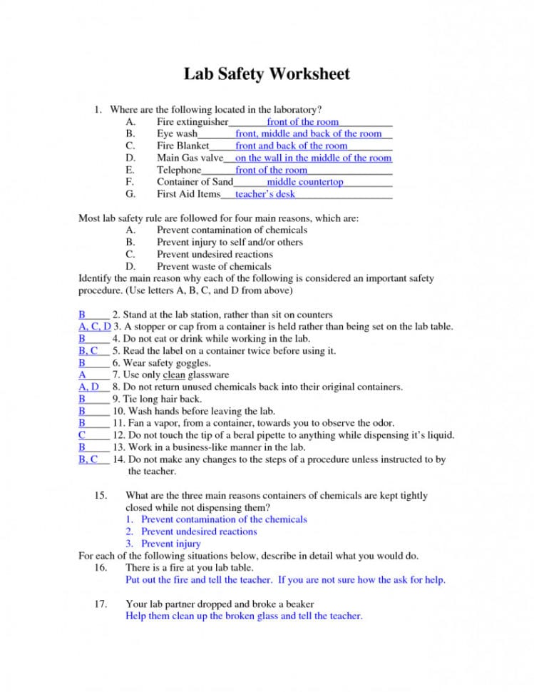 Lab Safety Worksheet Answer Key — db-excel.com