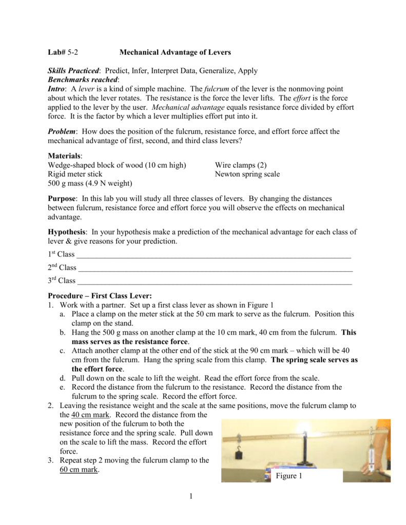 types-of-levers-worksheet-answers