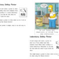 Laboratory Safety Poster  English Esl Worksheets