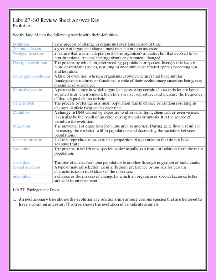 Labs 2730 Review Sheet Answer Key Evolution Vocabulary Match