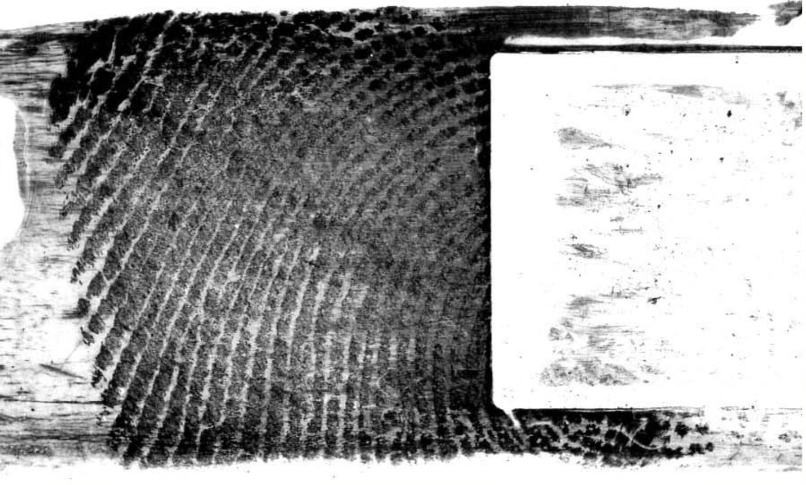 Latent Print Examination