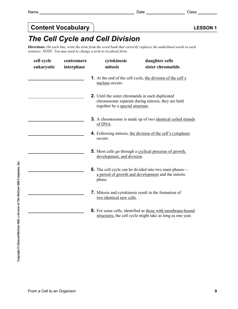 Lesson 1  The Cell Cycle And Cell Division