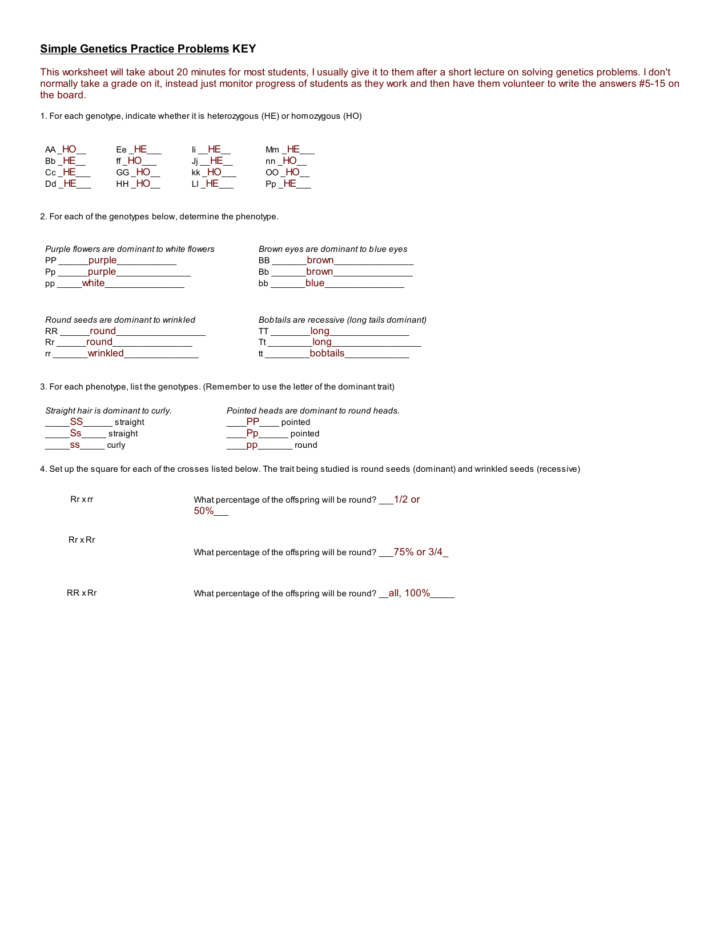 Genetics Practice Problems Worksheet Answer Key