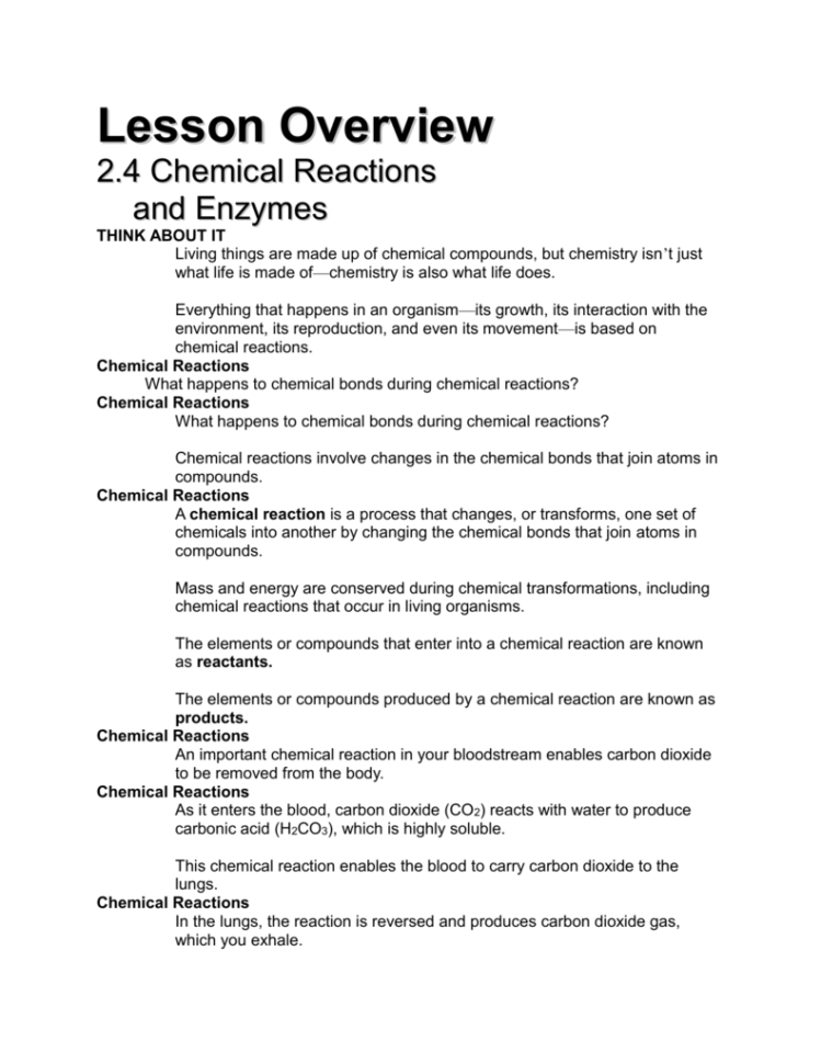 Lesson Overview 24 Chemical Reactions And Enzymes