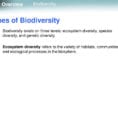 Lesson Overview 63 Biodiversity  Ppt Download