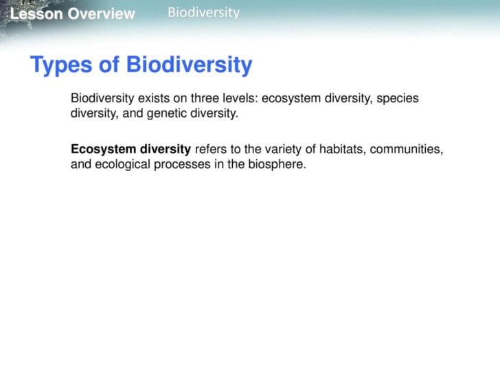 Chapter 6 Humans In The Biosphere Worksheet Answers