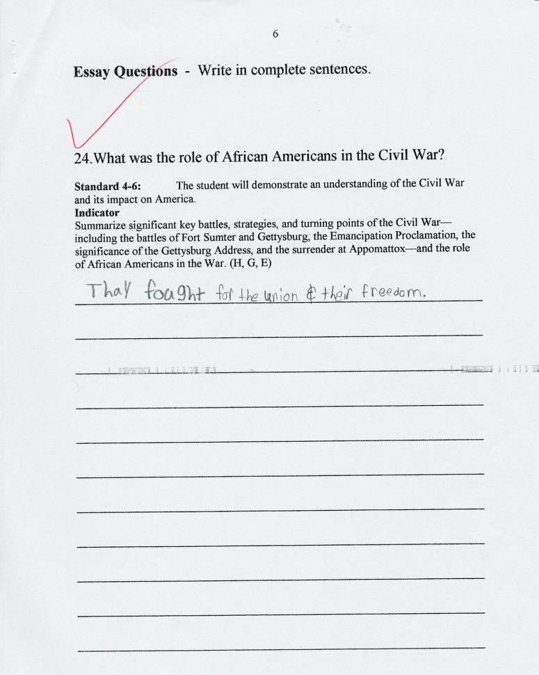 Lesson Plan Robert Smalls Rrior And Peacemaker