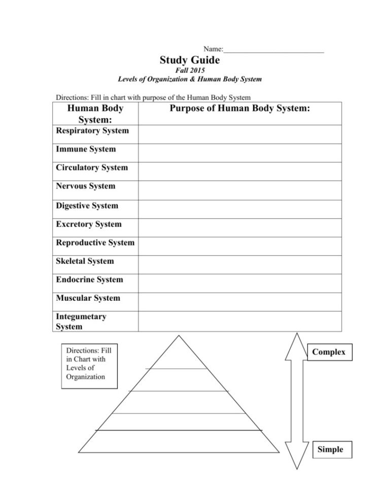 Levels Of Biological Organization Worksheet