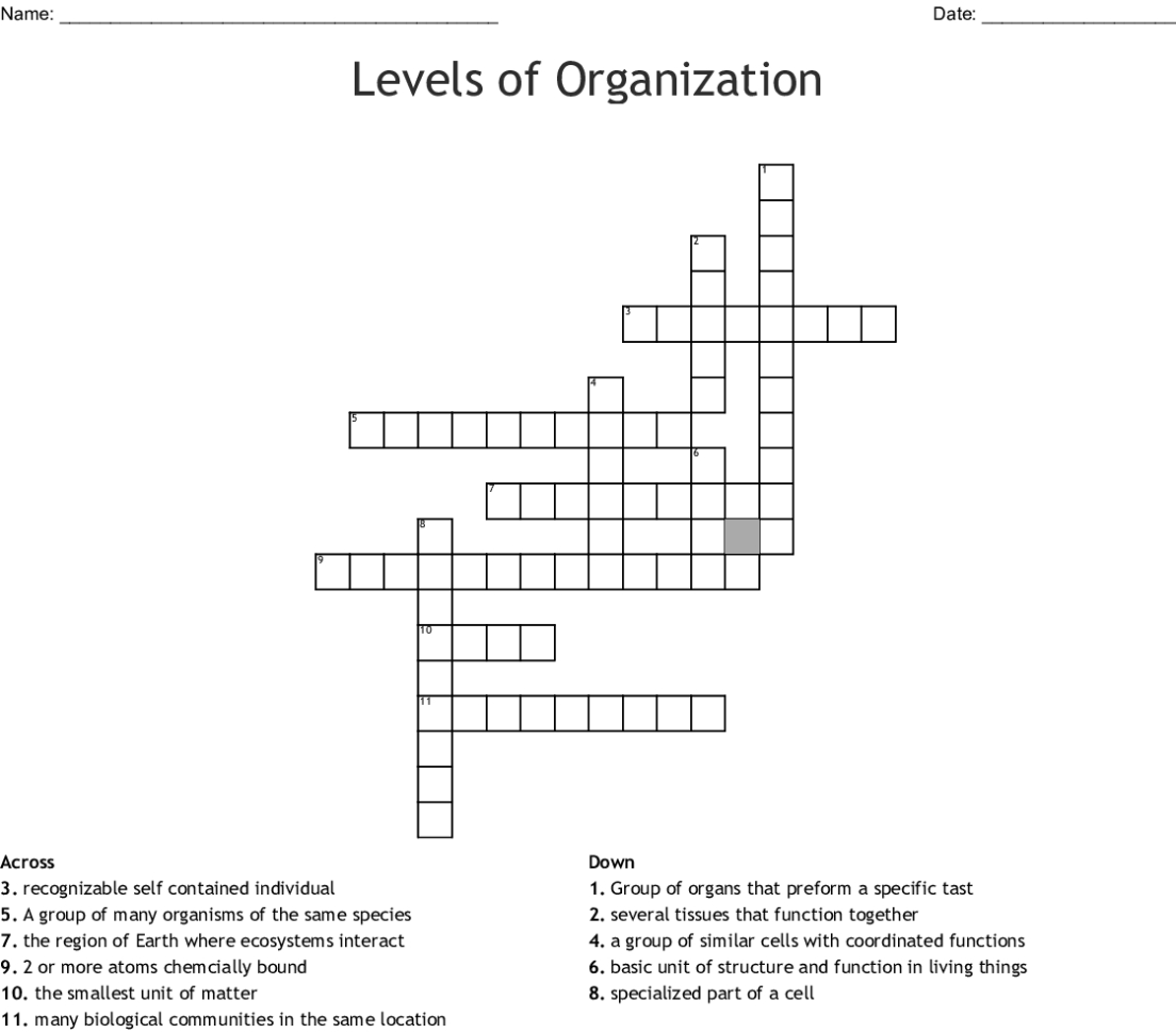 Levels Of Organization Crossword Word db excel com