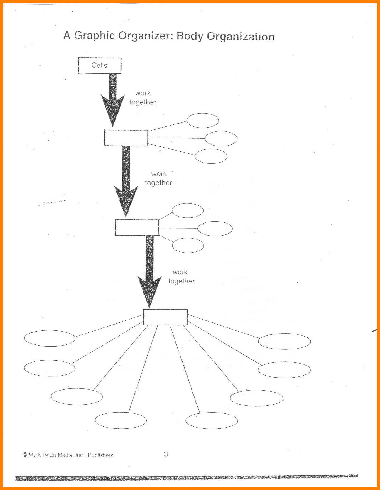 Levels Of Organization Worksheet